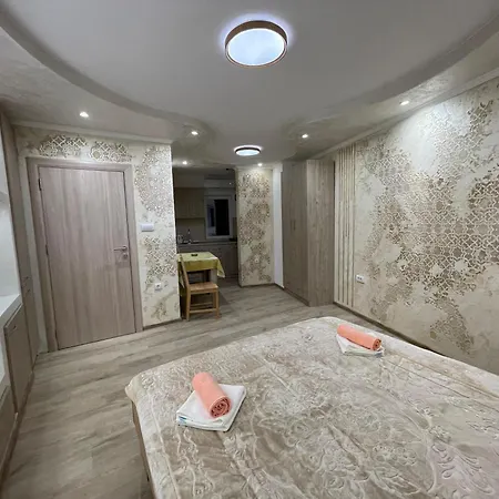 911 Apartment Soko Banja